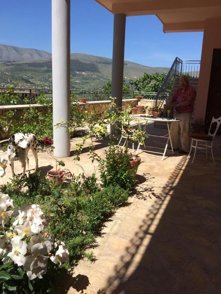 Guesthouse Villa Rosa Berat Room photo